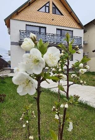 Hotel Casuta Noastra - Sulina Exteriér fotografie